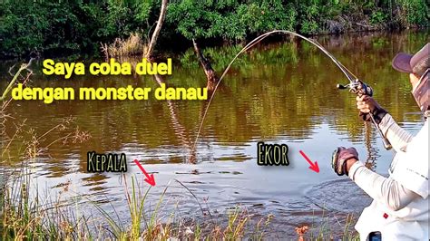 Umpan Di Sambar Monster Langsung Duel Casting Toman Spot Danau Hutan