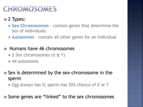 Dna And Chromosomes Notes Ppt Download