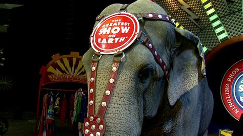 Ringling Bros Elephants To Perform In Last Show Fox 59