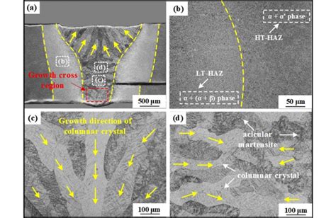 The Microstructure Of The Laser Welded Bottom Locking Joint At The