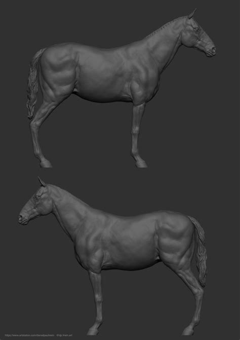 Artstation Horse Study