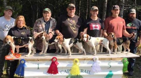 Cape Trail Beagle Club Sept 26 272020 Canadian Beagler