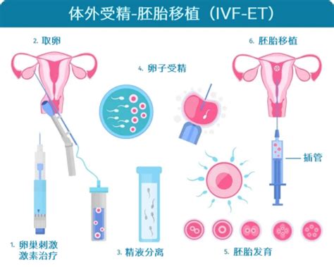 影响试管成功率的5个关键因素！