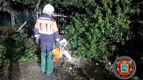 Cae En Mao O Una Rama De Grandes Dimensiones Y Rompe El Cableado De La Luz