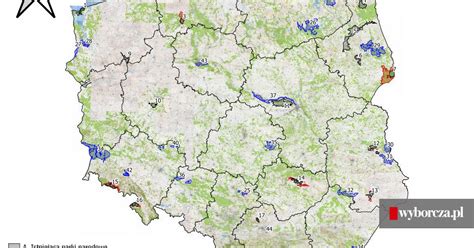 Europejski Dzie Park W Narodowych Gdzie W Polsce Powinny Powsta Nowe