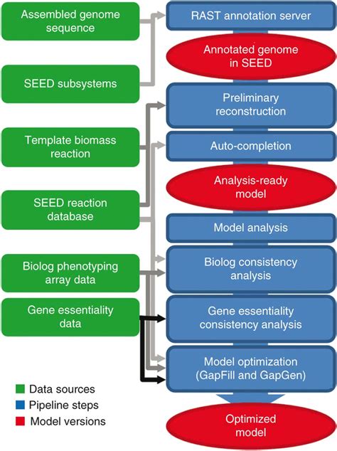 Model Seed Genome Scale Metabolic Reconstruction Pipelinein The First Download Scientific