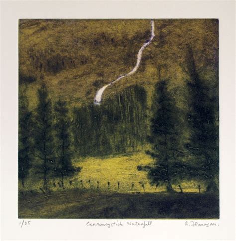 Carrawaystick Waterfall Etching Engraving By Aidan Flanagan Irish