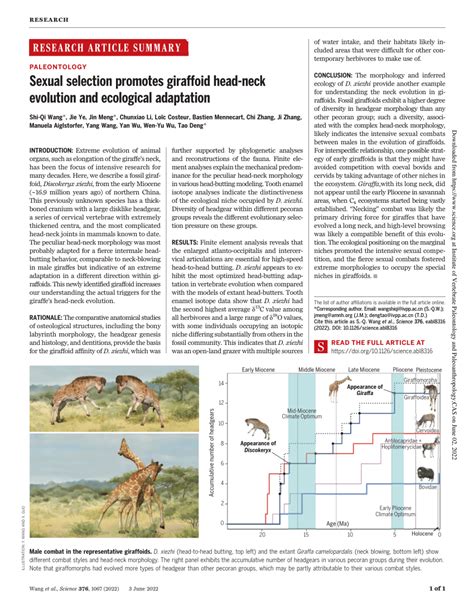 Pdf Sexual Selection Promotes Giraffoid Head Neck Evolution And