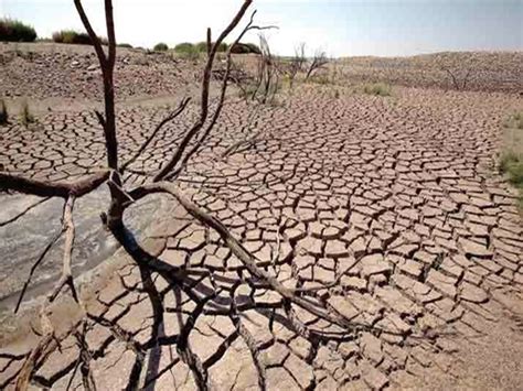 Pemicu Kekeringan Parah di Indonesia, Bukan Hanya El Nino | infogunungkidul