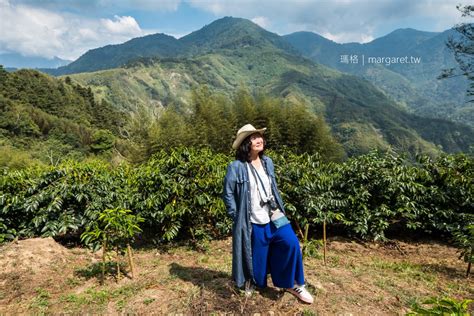 阿里山咖啡之旅。9個部落5條一日遊路線｜北緯235度的世界水準 瑪格。圖寫生活