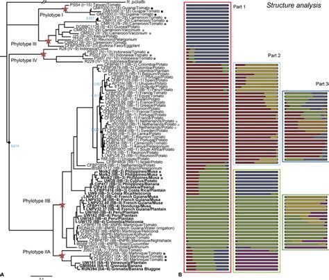 A Phylogenetic Tree Of 72 Ralstonia Solanacearum Strains Computed By