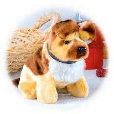 33 best images about Baby Beethoven Toys on Pinterest | Pull toy, Ferris wheels and Toys