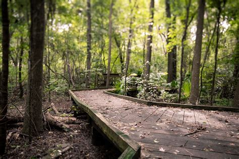 Land Conservation Sustainability University Of Florida Business