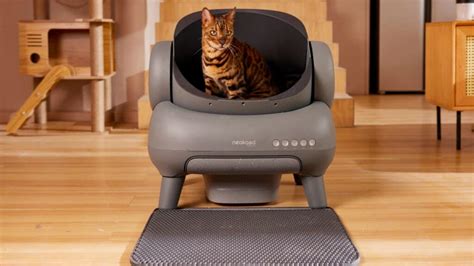 Neakasa M Is An Open Top Self Cleaning Cat Litter Box