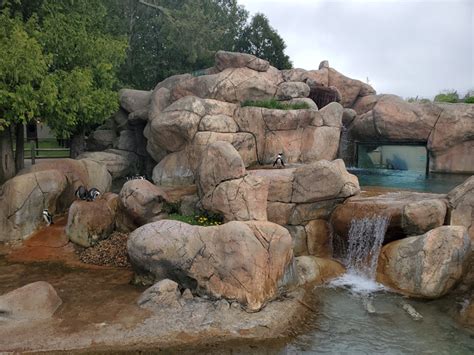 Explore The Lesser-Known Zoo And Adventure Park Hidden In Wisconsin