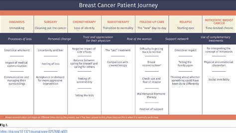 Figure 1 From Breast Cancer Patient Experiences Through A Journey Map