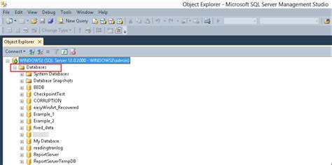 How To Import And Export Sql Server Database