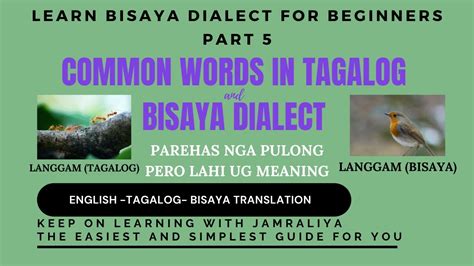 Learn Bisaya What Is Langgam How To Speak Tagalog Bisaya