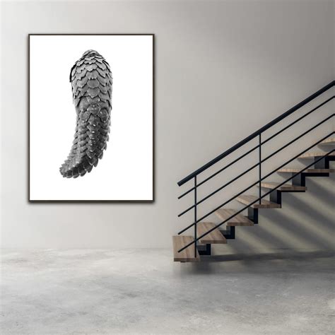 Steppe Pangolin Scales - Thandanani Childrens Foundation