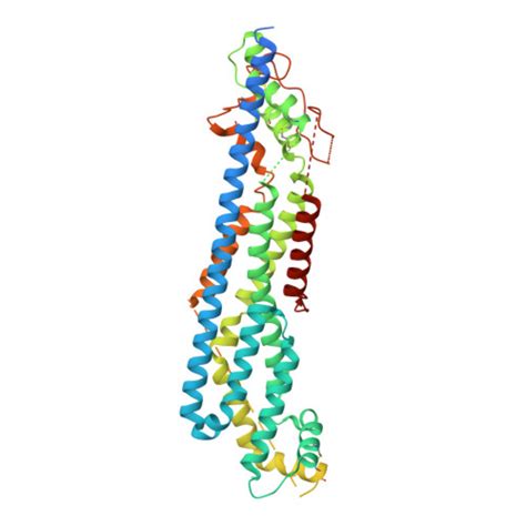 Rcsb Pdb Odn The Crystal Structure Of Drosophila Dally Like Protein