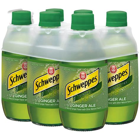 Schweppes Ginger Ale 10 oz Bottle - Blue Dog Beverage