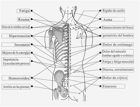 LOS BENEFICIOS DE LA ACUPUNTURA