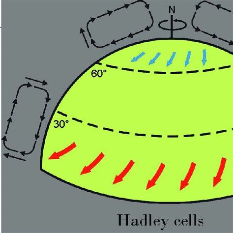 Hadley cells in the Northern Emisphere. | Download Scientific Diagram