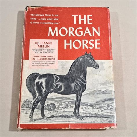 Morgan Horse Etsy