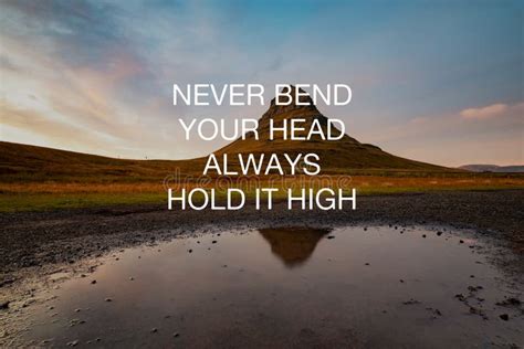 Inspirational Quotes Never Bend Your Head Always Hold It High 库存图片