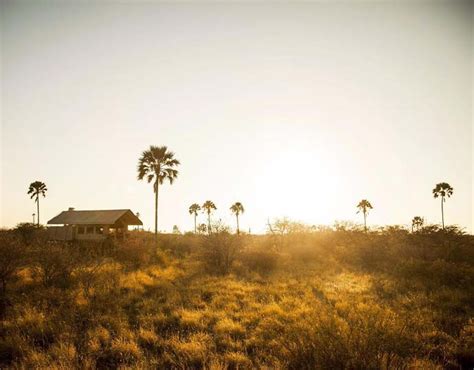 Camp Kalahari Luxury Safari Company