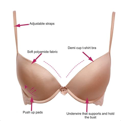 Buy Padded Underwired Lace Bra In Nude Online India Best Prices COD Clovia BR0046W24