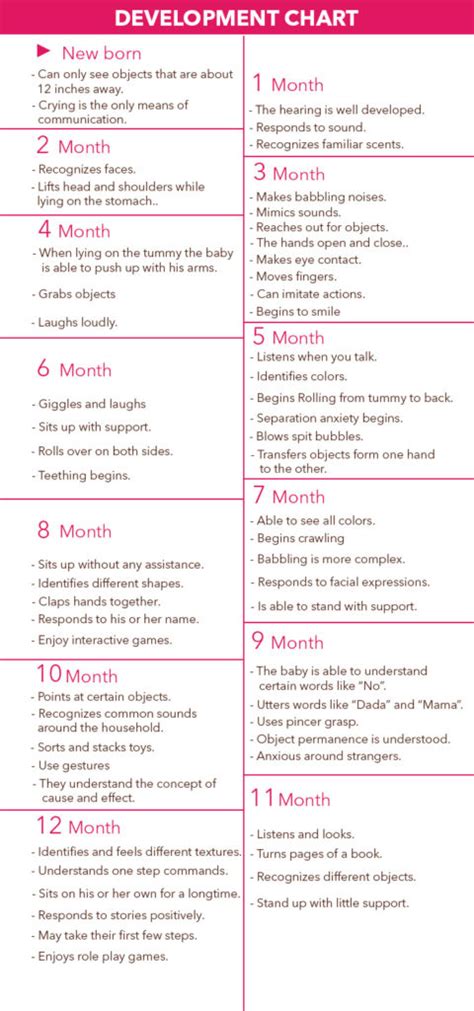 1 Year Baby Monthly Development Chart or Milestone