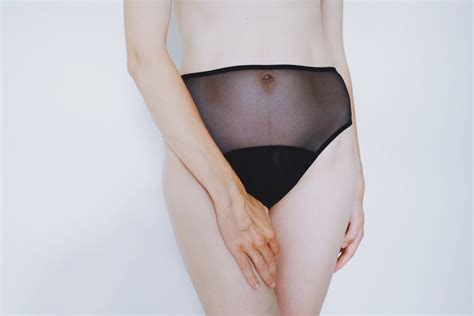 High Cut Panties In Sheer Mesh Womens Lingerie Romantic Etsy