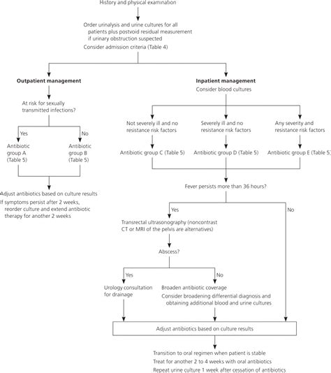 Acute Bacterial Prostatitis Diagnosis And Management Aafp