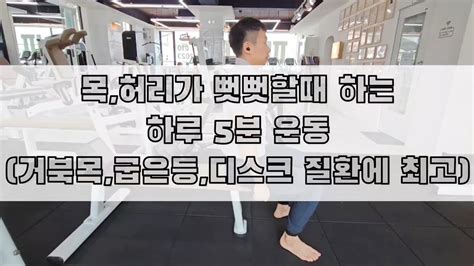 하루5분운동 목허리가 아프거나 뻣뻣하신분을 위한 필수운동 Youtube