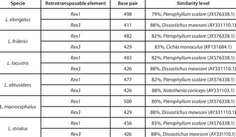 Base Pare Number And Similarity Levels Of Rex1 And Rex3 In Leporinus