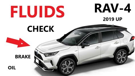 FLUIDS CHECK On 19 23 TOYOTA RAV4 2019 2020 2021 2022 2023 2024 YouTube