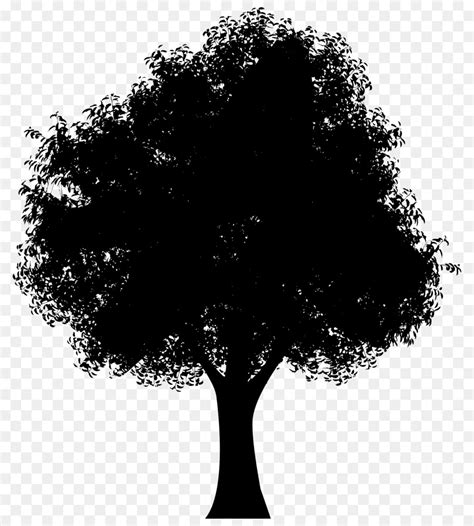 Free Silhouette Oak Tree, Download Free Silhouette Oak Tree png images ...