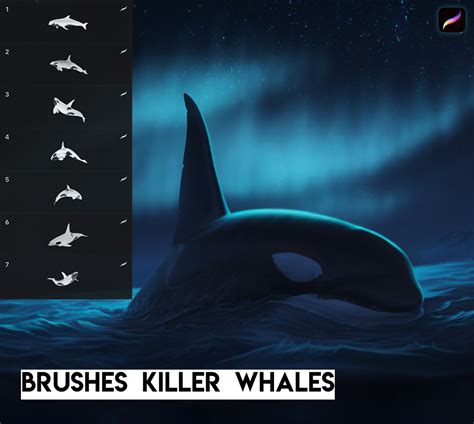 Killer Whale Brushes Free