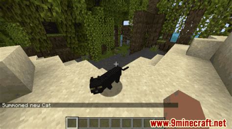 How To Summon A Black Cat Wiki Guide 9Minecraft Net