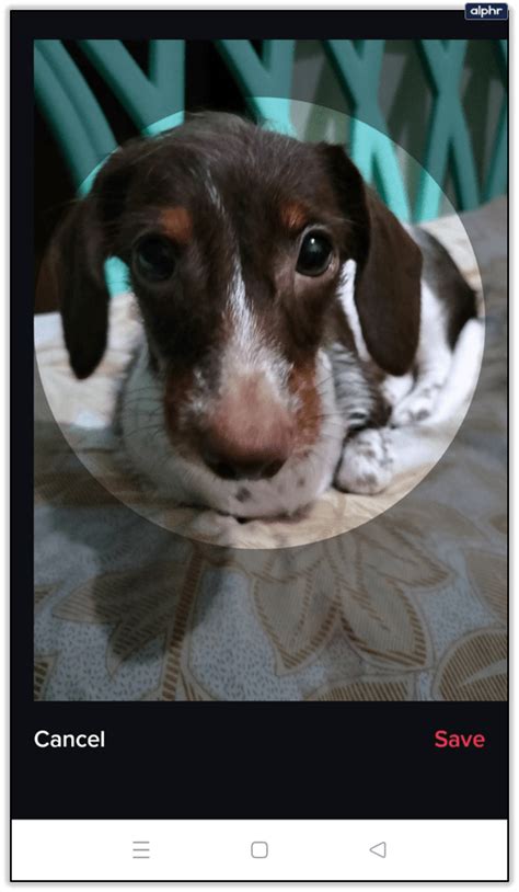 how to change profile picture on tiktok on phone