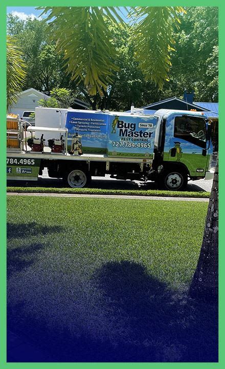 Palm Harbor Pest Control Pros Bug Master Pest Control