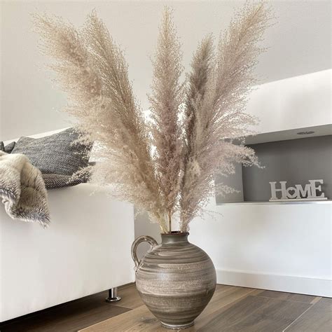 Naturalz Pampasgras Getrocknet Deko Gras Gross Pampas Grass Lang Grau