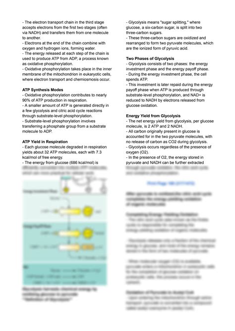 SOLUTION Cellular Respiration And Fermentation Studypool