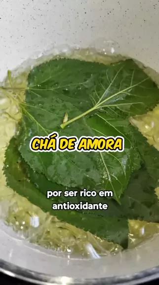 Amora Prende Ou Solta O Intestino - chá de amora prende ou solta intestino | Discover
