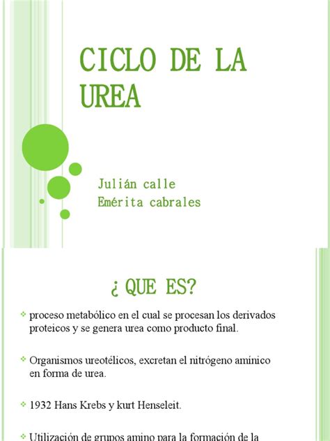 Pdf Ciclo De La Urea Expo Dokumen Tips