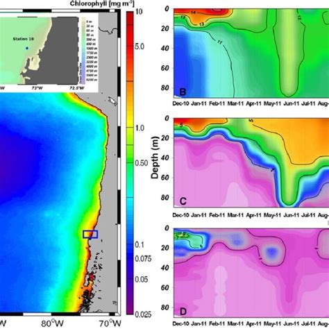 SeaWIFS Image Of Chlorophyll A Mg M 23 In The Humboldt Current