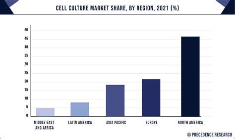 Cell Culture Market Size To Surpass USD 63 60 Billion By 2032