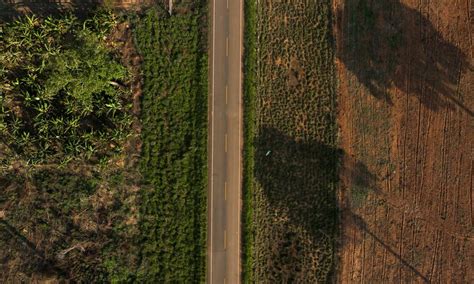 How The Interoceanic Highway Ushered In A New Era Of Deforestation And