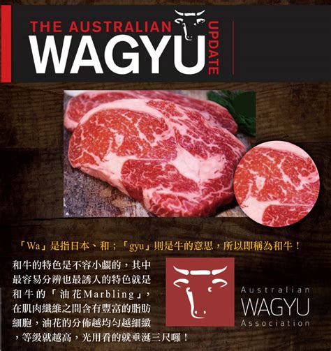 【約克街肉鋪】 澳洲金牌極黑和牛肋眼牛排 150g片 － 生活市集